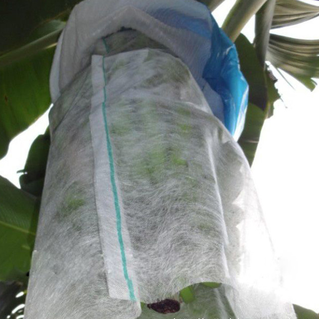 100%pp Spunbond Non Woven Fabric for Fruit Bag Cover Banana Bag