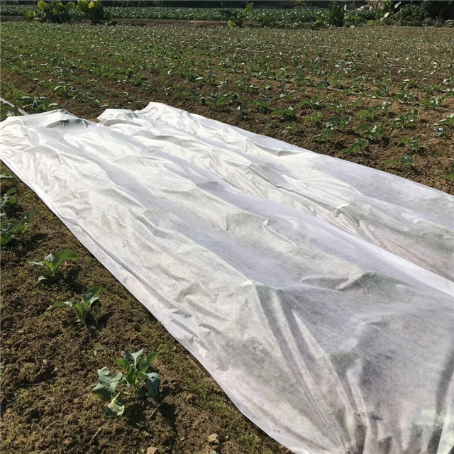  Product Black /white Color PP Non-woven Fabric for Agriculture Weed Control