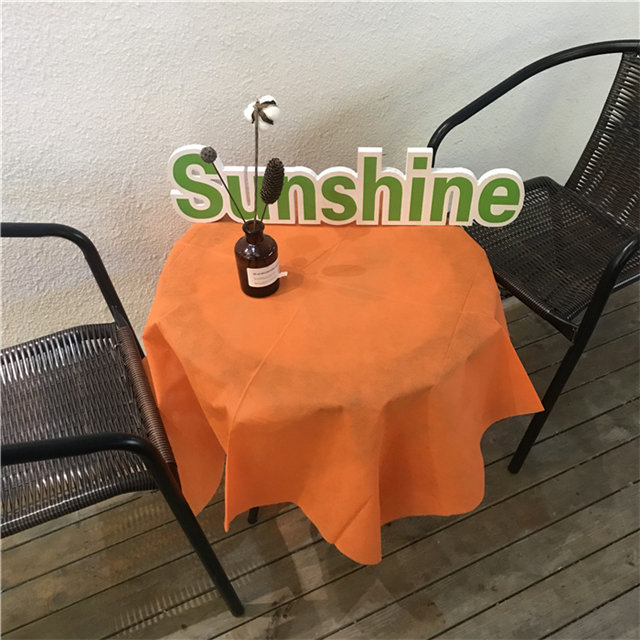 Europe Economic High Quality PP Spunbond Nonwoven Tablecloth
