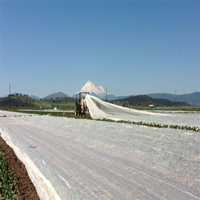 Nonwoven Fabric Agriculture Cover UV Protect Non Woven Plant Cover Agriculture Fabric