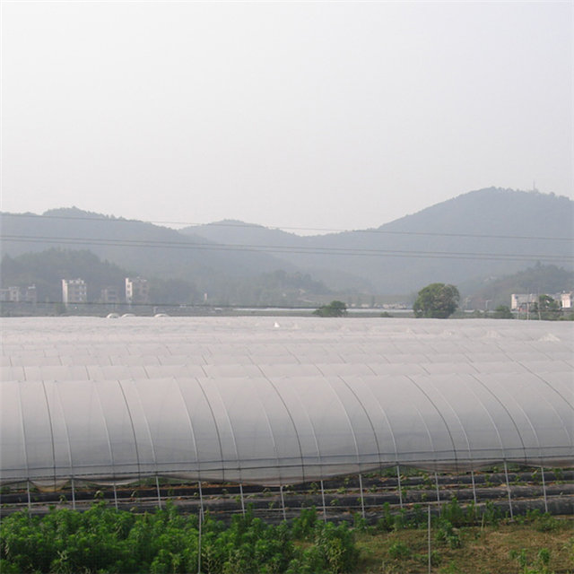 2%UV Agricultural cover polypropylene spunbond nonwoven fabric supplier