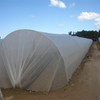  1-3% UV Nonwoven Fabric,agriculture Cover 100%pp Spunbond Nonwoven Fabric