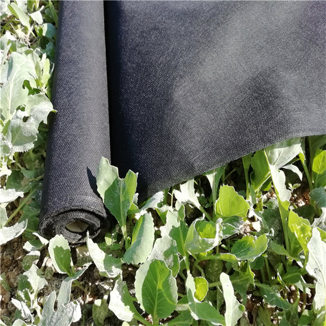 UV resistant weed control 100%polypropylene non woven spunbond nonwoven fabric 