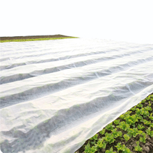 Agriculture cover White 100% pp non woven fabric use Agricultural protect