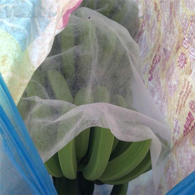 Agricultural with uv pp nonwoven fabric use banana bag