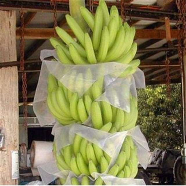 Factory Cheap Price Anti-UV Eco-friendly Polypropylene Nonwoven Fabric for Agriculture Banana Bag Fruit Protection 