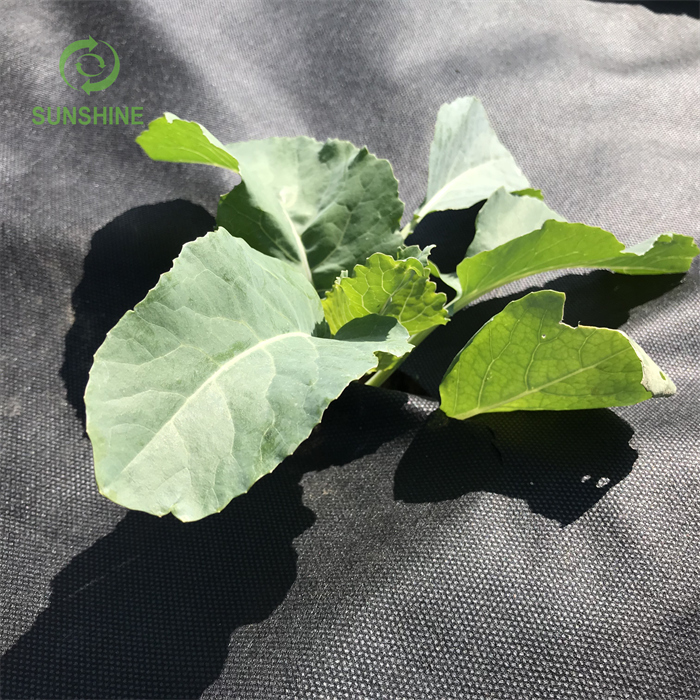 3% UV Spunbond Nonwoven Fabric for Agriculture Nonwoven Fabric Weed Control 