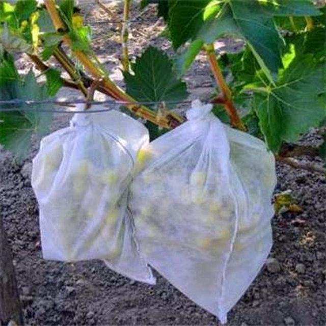 Agricultural weed control,banana bag pp spunbond nonwoven fabric roll