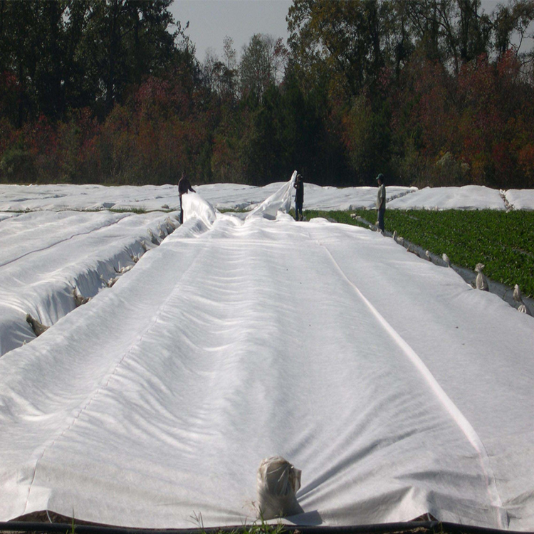 UV 1%-5% Agricultural Crop Cover Extra Wide maximum 36m