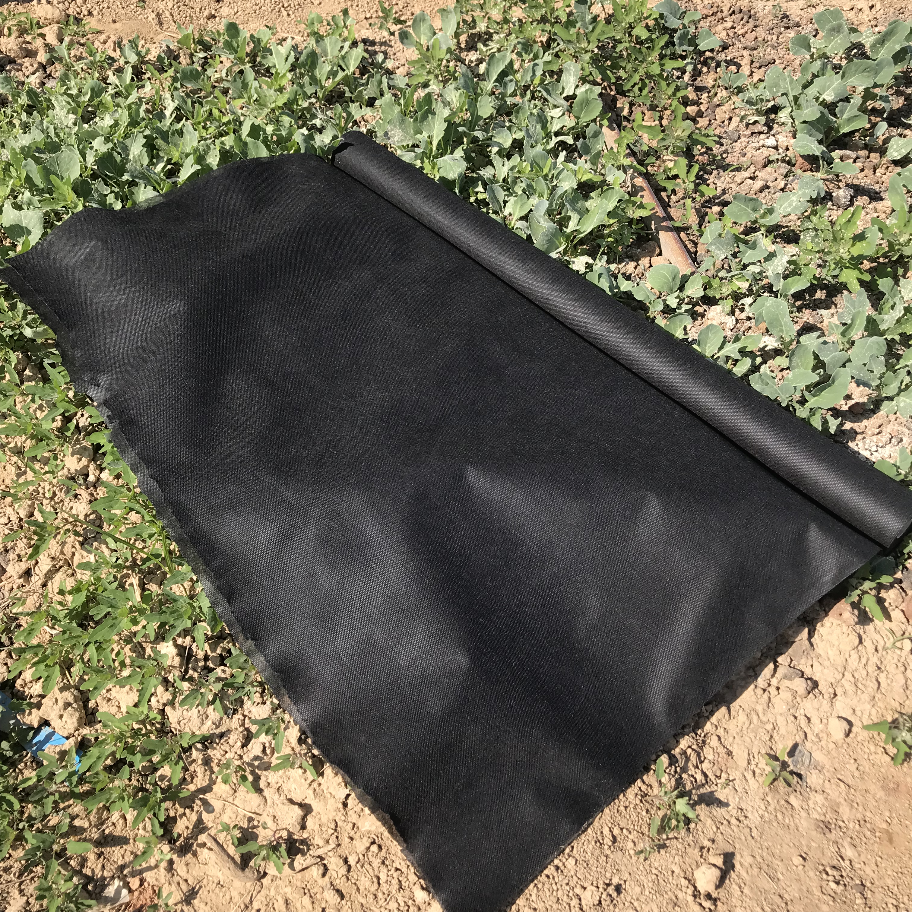 Agriculture Anti-UV Pp Spunbonded Nonwoven Fabric for Garden Furniture 