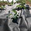 High quality UV Protection Spunbonded PP Nonwoven Fabric Agricultural Ground Cover