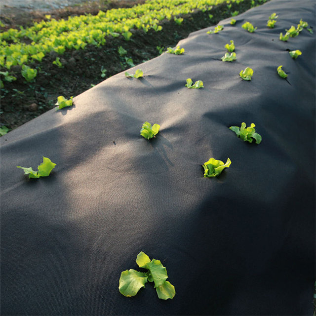 Agricultural plant cover freeze protection banana bag UV spunbond nonwoven fabric