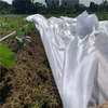 Agriculture cover with UV1%-5% PP spunbond non woven fabric