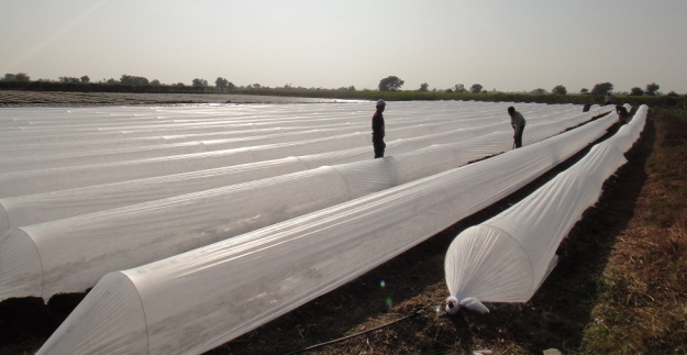 17gsm pp spunbond nonwoven fabric agriculture product 