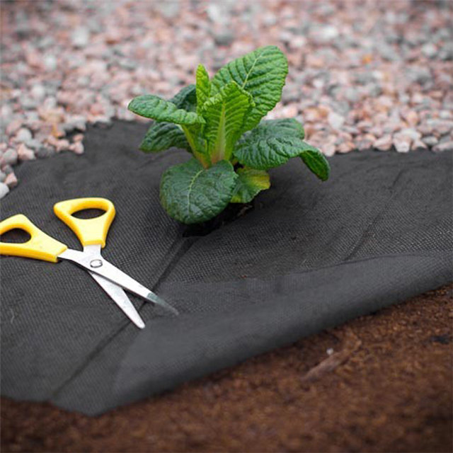 50gsm/70gsm Weed Control Agriculture Cover Pp Spunbond Nonwoven Fleece Ground Cover Fabric