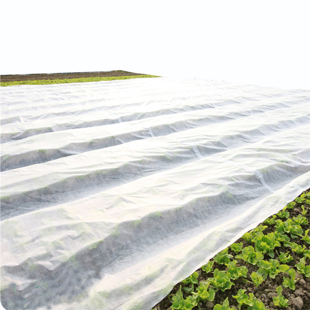 Anti UV polypropylene spunbond agriculture non woven fabric