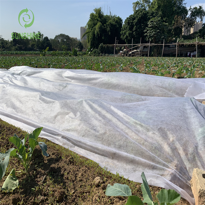 UV 15-70GSM 100%PP Agriculture Nonwoven Weed Control Weed Mat Garden Cover Fabric