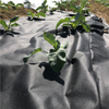 100% Pp Anti-Uv Agriculture PP Nonwoven fabric for Weed Control / Weed Barrier 
