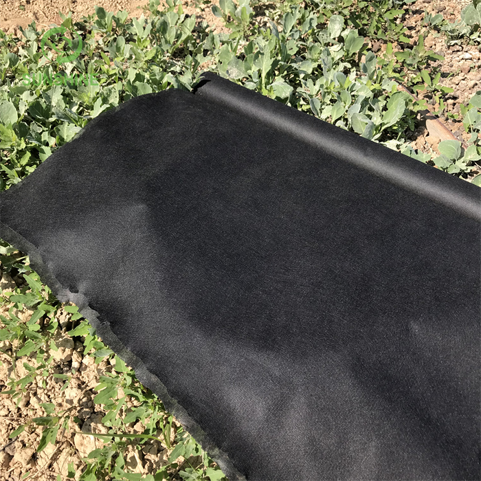 3%-6%UV 15-70GSM 100%polypropylene Agriculture Garden Cover Fabric Nonwoven Weed Control Weed Mat