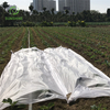 White/black Pp Agriculture Nonwoven Weed Control ground Weed Mat Garden Cover Fabric