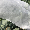 Agriculture cover 100% polypropylene spunbond non woven fabric